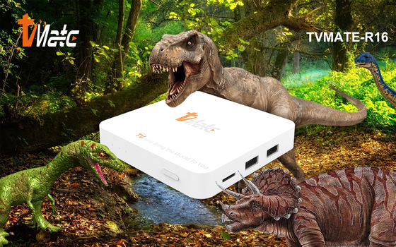 OTT Android TV Box Rockchip 322X Quad-Core Cortex-A7 jusqu'à 1,5 GHz Smart TV Box Android